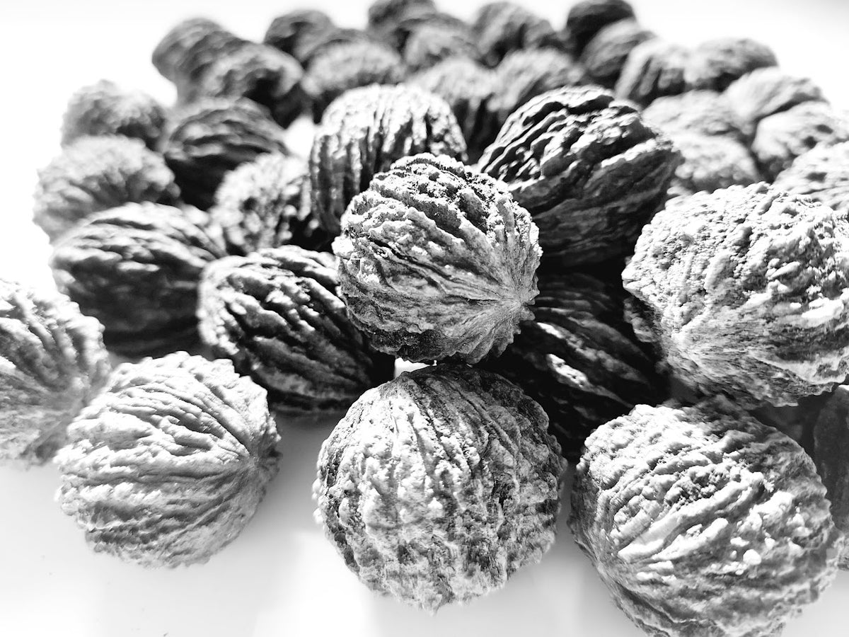 Walnut, Arizona – Flora Fauna Farm