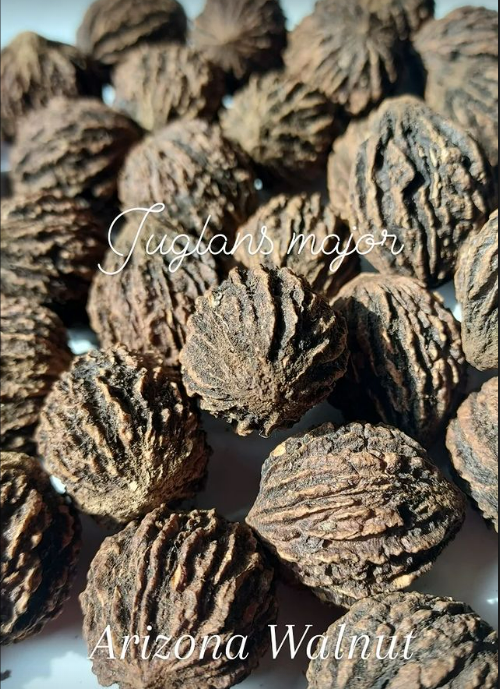 Walnut, Arizona – Flora Fauna Farm