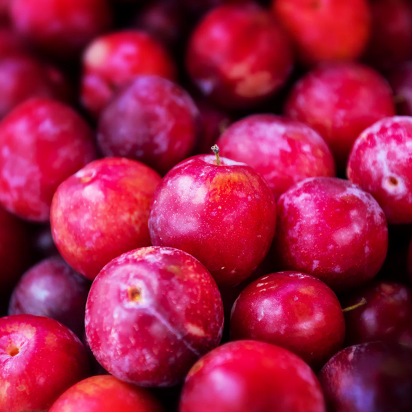 Plum, 'Superior'