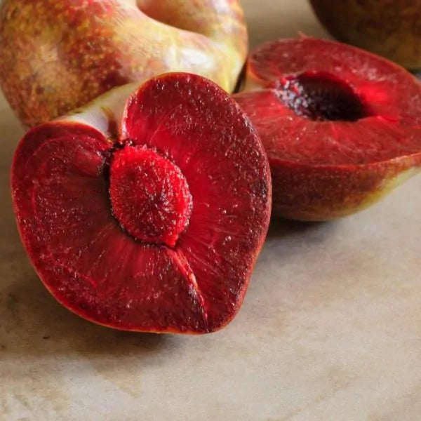 Plum, 'Elephant Heart'