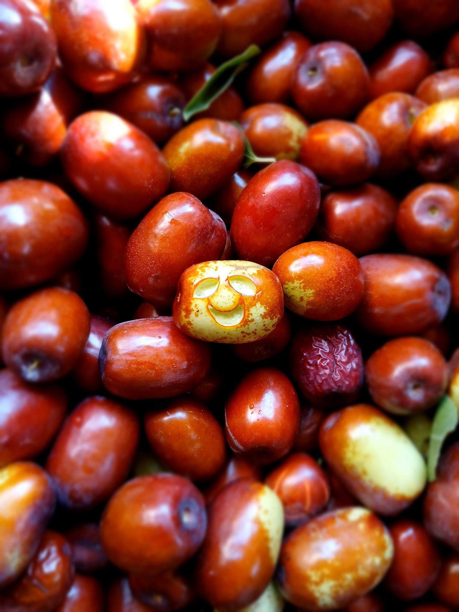 Jujubes, fresh fruit