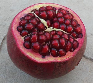 Pomegranate, Hotuni Zigar