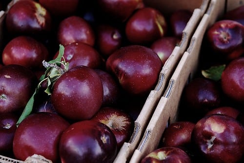 Apple, Arkansas Black