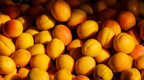 Apricot, Manchurian