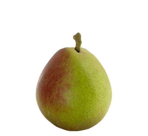 Pear, 'Seckel'