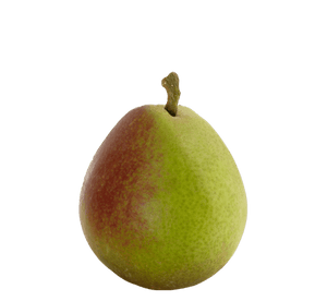 Pear, 'Seckel'