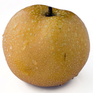 Asian Pear, 'Yakumo'
