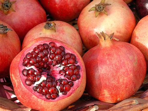 Pomegranate, Parfianka