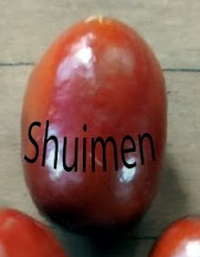Jujube, 'Shuimen'